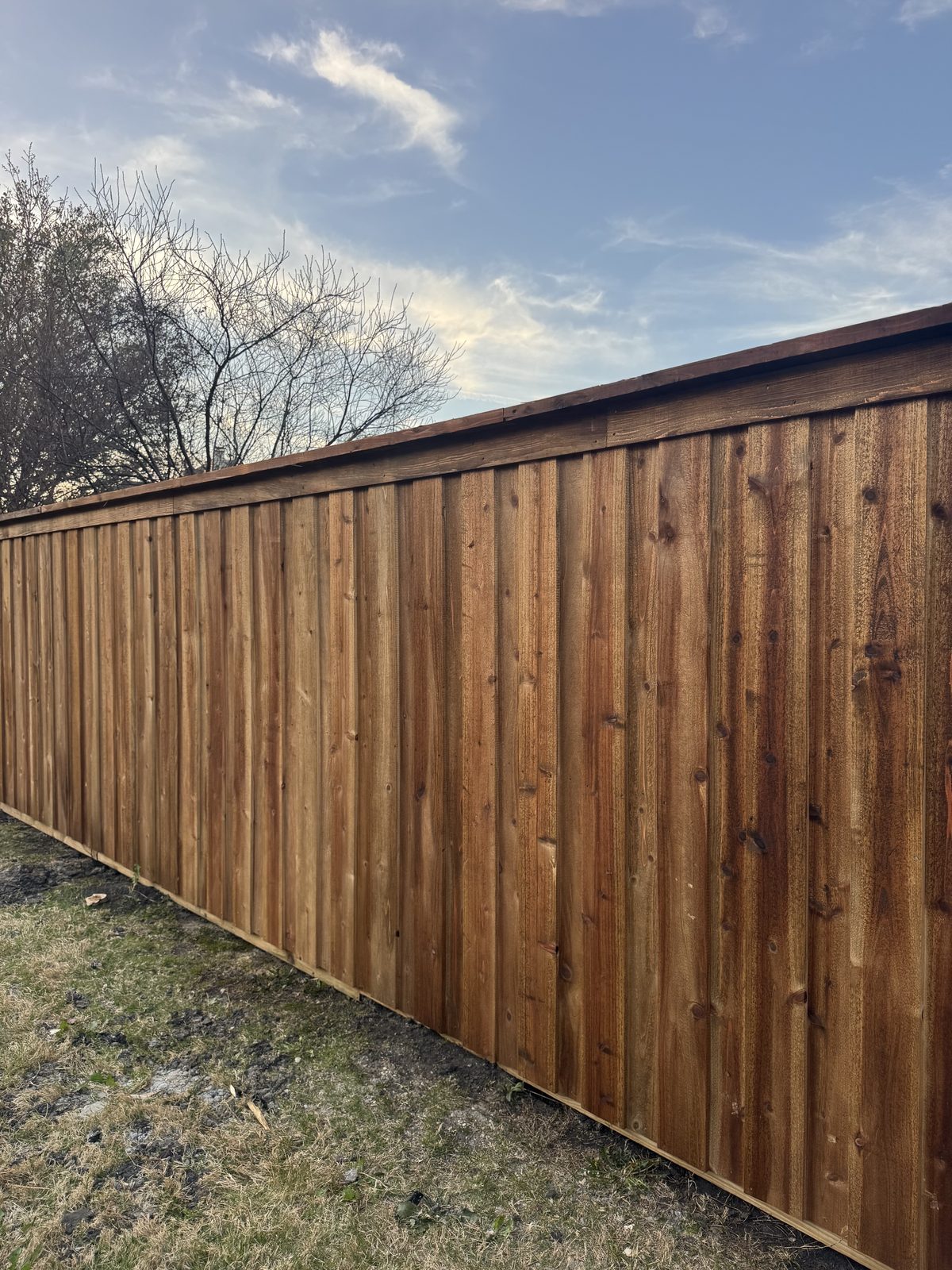 Stained cedar board-on-board privacy fence with cap and trim in Rockwall County, TX